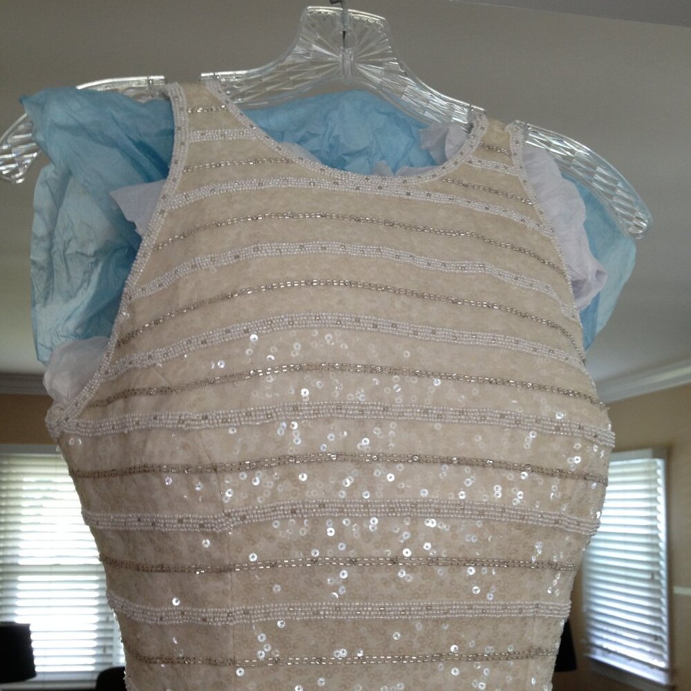 Wedding Gown  new,  100% Pure Silk Randy Fenoli Diamond Collection size 6
